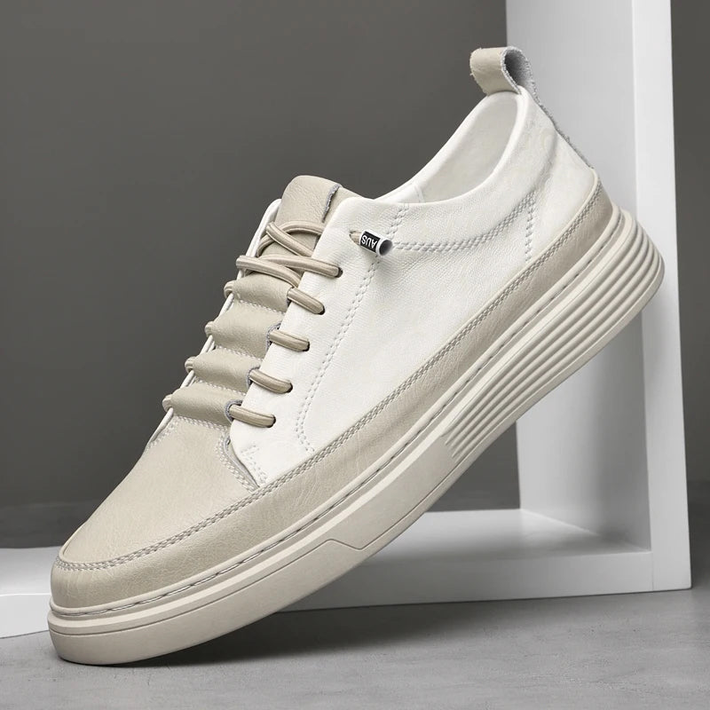 Street Craft Leather Sneakers Ash & Harbor